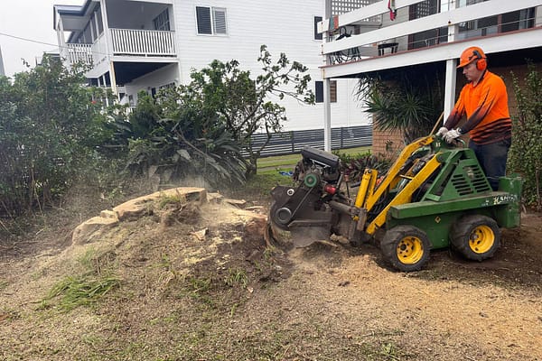stump grinding