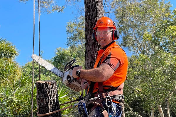 tree lopping using a hand held chainsaw
