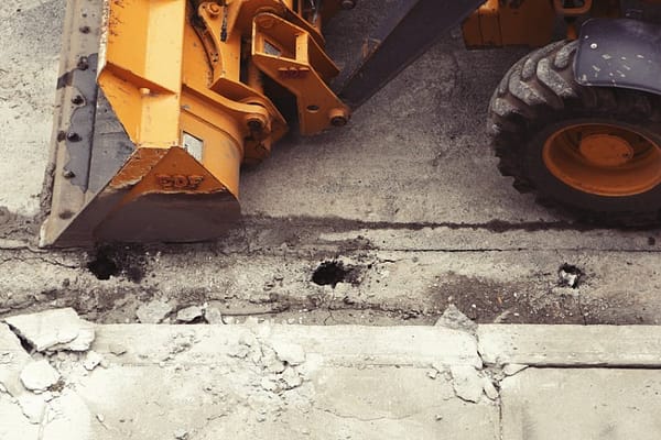Demolition Services Moreton Shire – Angry Ant Tree