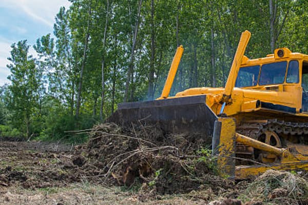 Land Clearing Bribie Island