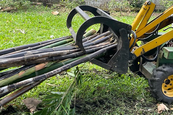 bamboo removal machine at work with Angry Ant Tree Services