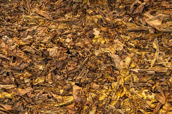 pile of leaves mulch