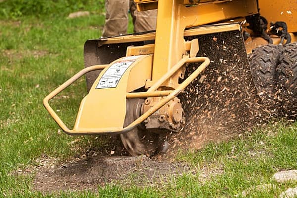 stump grinding process