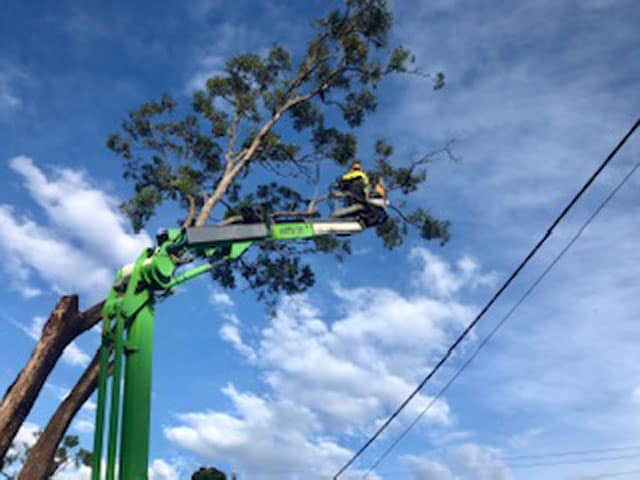 cherry picker images by Angry Ant Tree Services