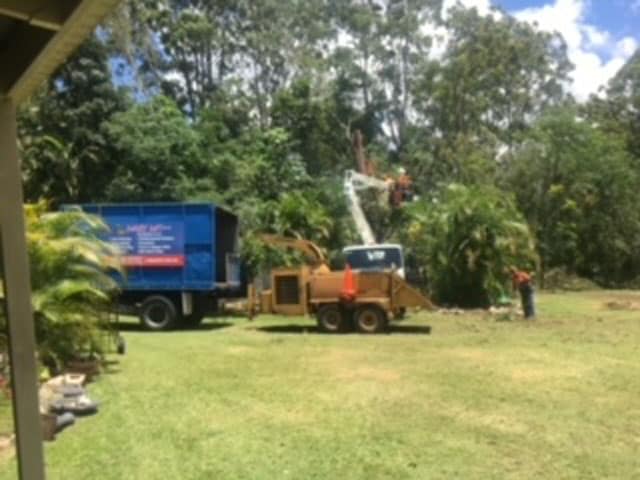 cherry picker images with Angry Ant Tree Services