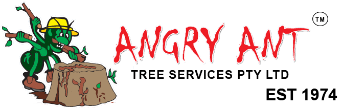 Angry Ant logo