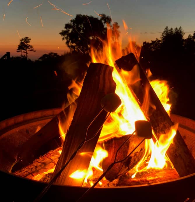 firewood fire