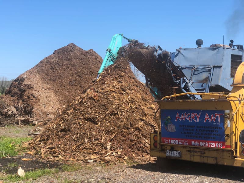 top-notch forest mulch