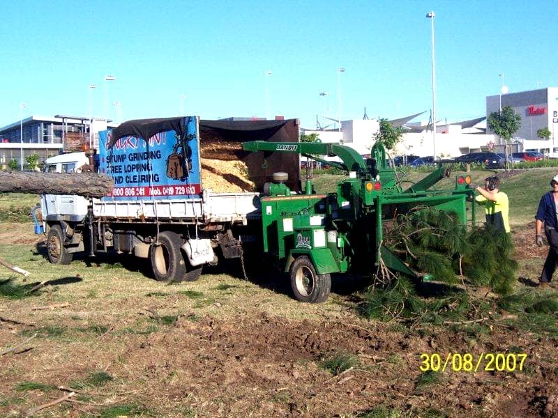 tree removal and land clearing