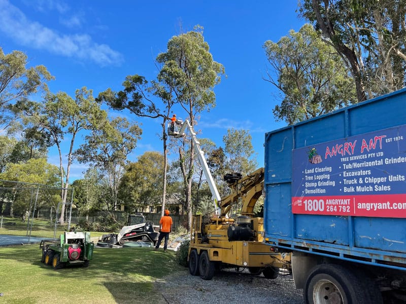 Angry Ant Services Cherry Picker at work
