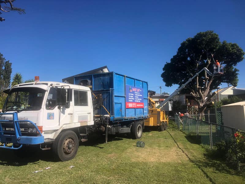 branch removal images from Angry Ant Tree Services