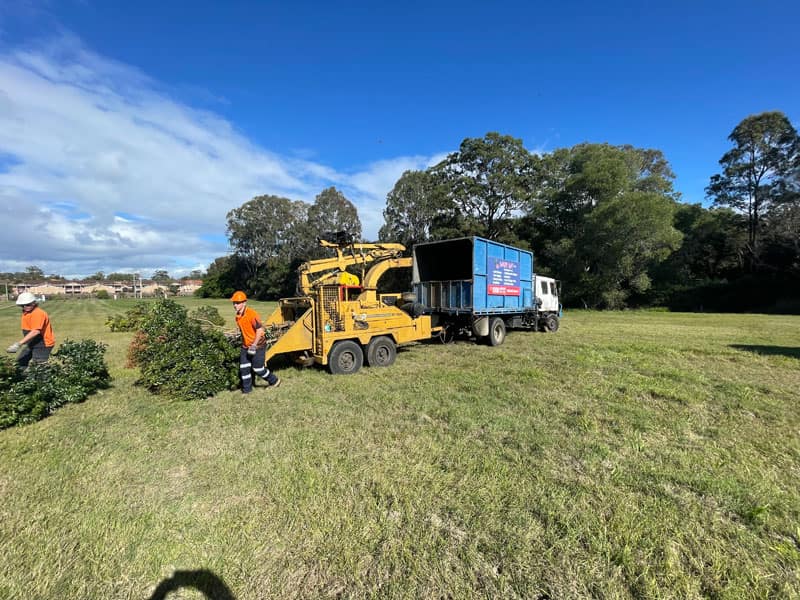 high-quality wood chipper images at services at Angry Ant Tree