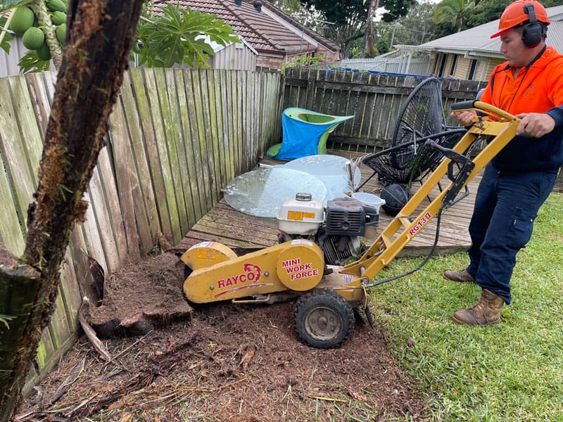 stump grinder and landscaping