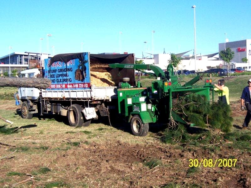 wood chipper images and professional services from Angry Ant Tree Services
