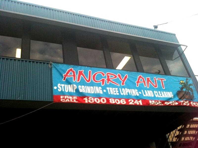 Angry Ant Services
