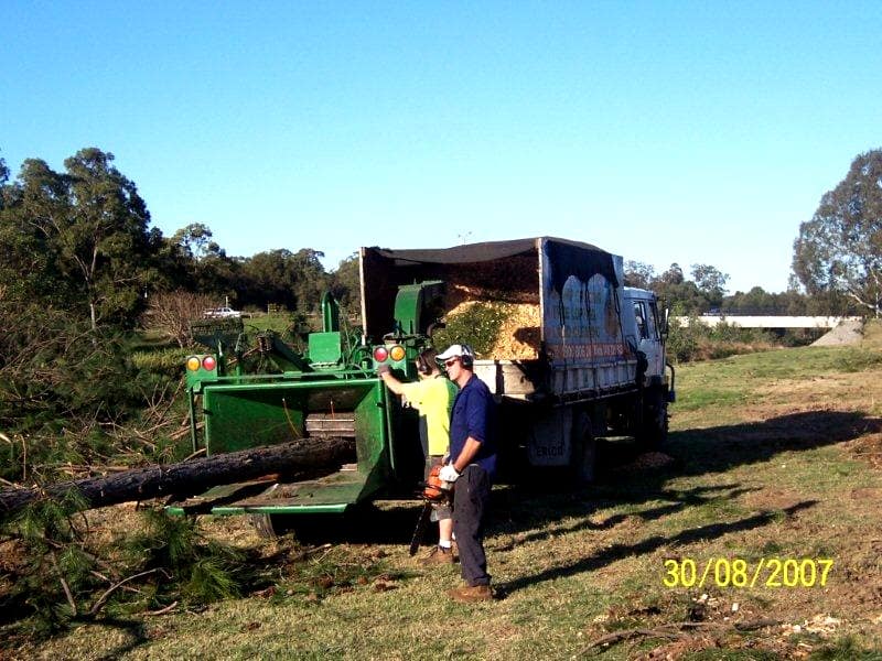 tree and land clearing