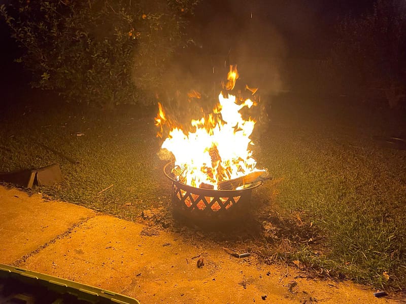 Discover premium firewood from Angry Ant Services