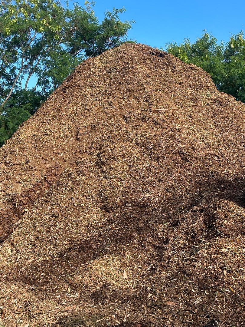 forest mulch at Angry Ant Tree Services
