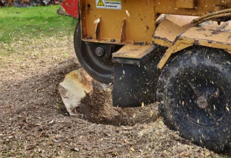 stump-grinding machine work